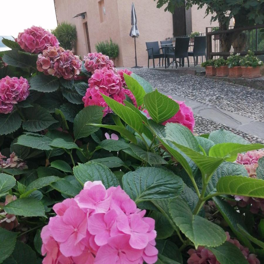 B&B Ronco Degli Ulivi Iseo Kültér fotó